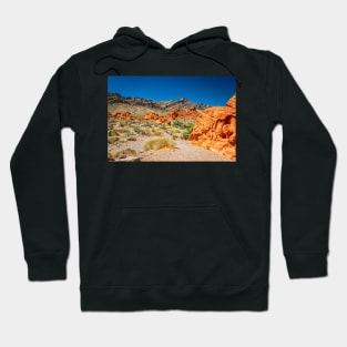 Valley of Fire State Park Hoodie